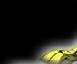 Paginas Web. Sitios Web. Desarrollo Web. TM-Webs.
